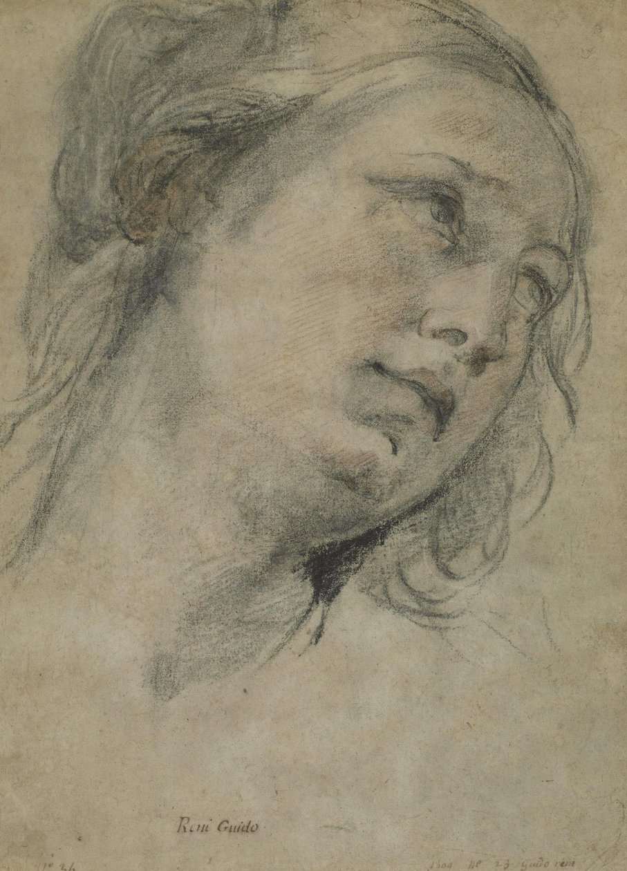 La cabeza de una joven mirando hacia arriba de Guido Reni