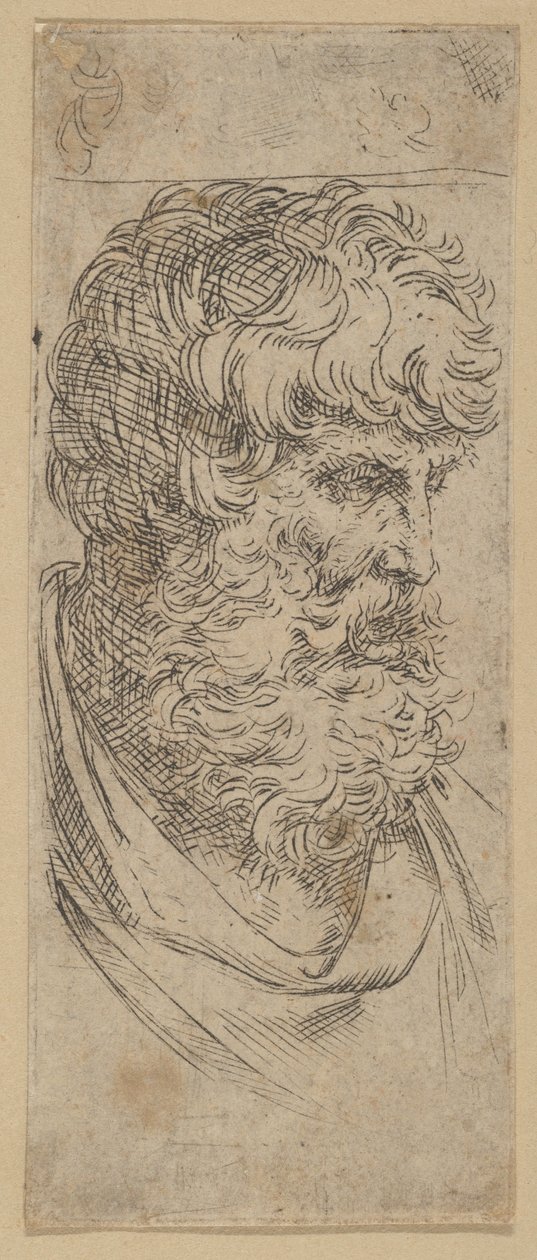 Busto de un hombre con barba de Guido Reni