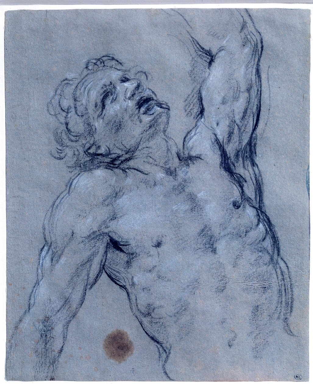Medio cuerpo de hombre desnudo, se voltea, pretendiendo sufrir de Guido Reni