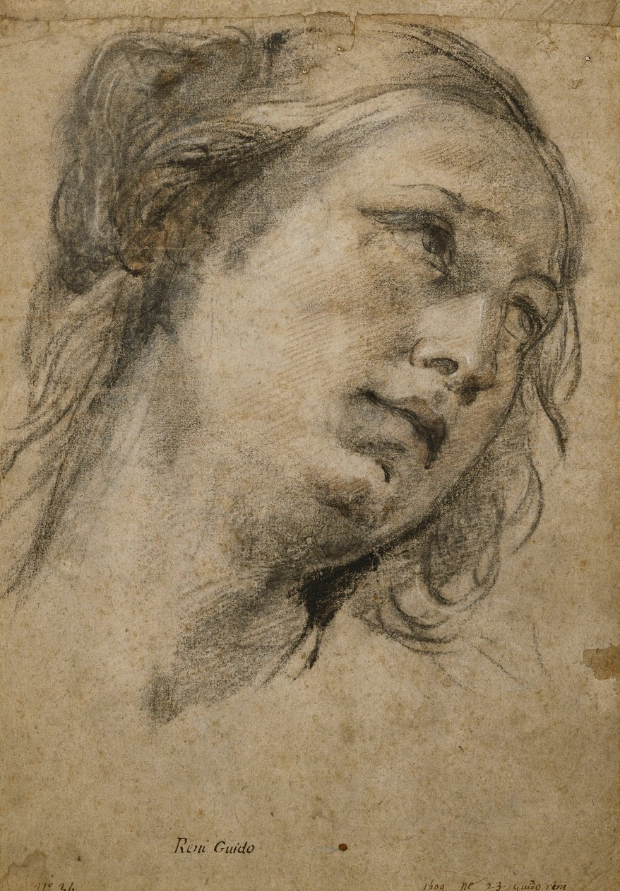 Cabeza de una mujer mirando hacia arriba a la derecha de Guido Reni