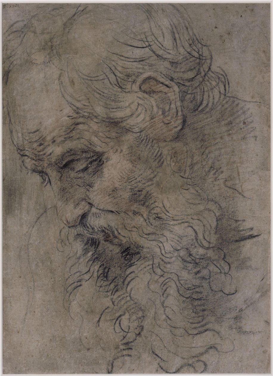 Cabeza de san Pablo ermitaño de Guido Reni