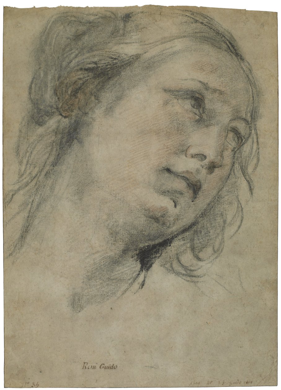 La cabeza de una joven mirando hacia arriba, c.1609 de Guido Reni