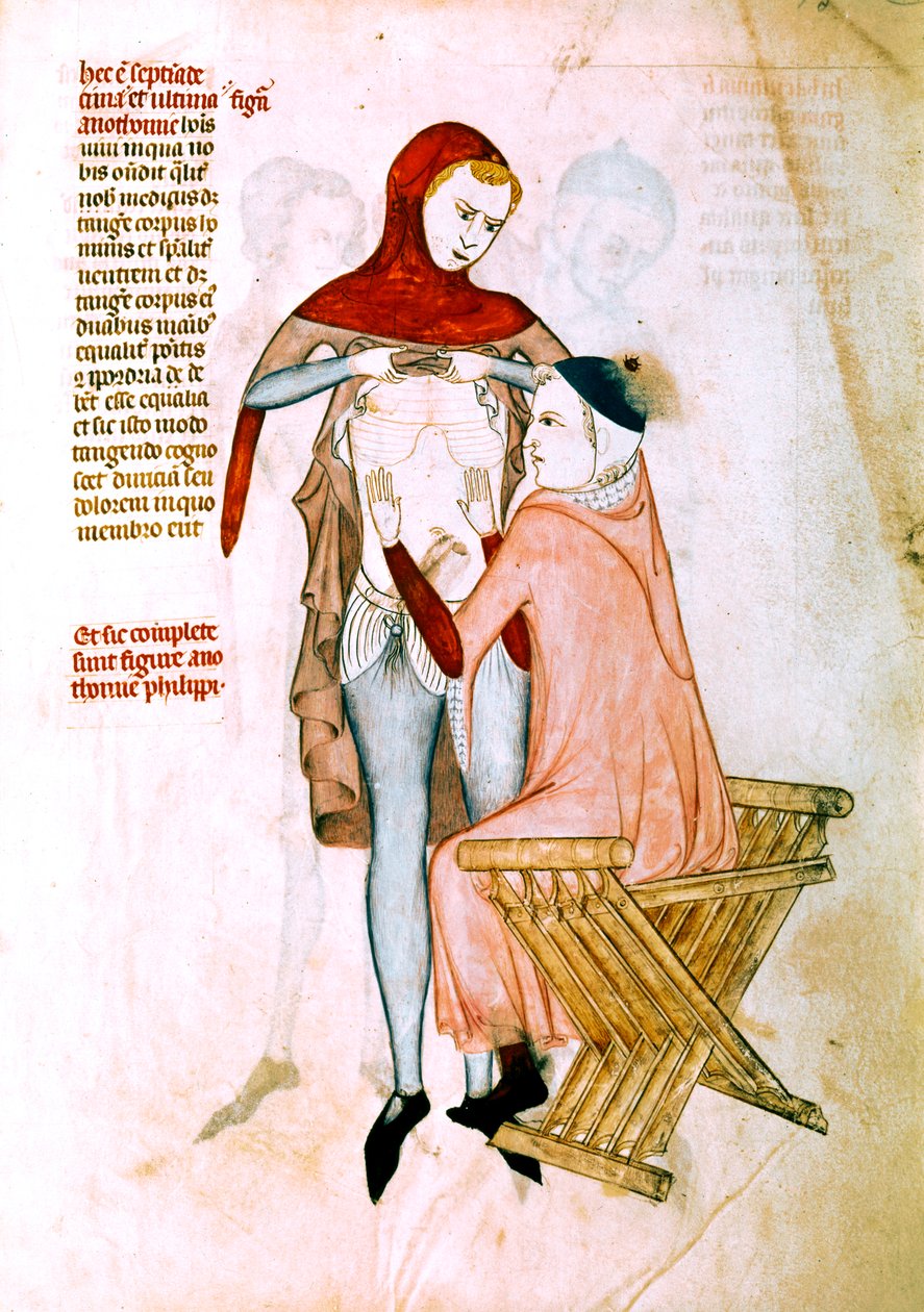Médico examinando al paciente (miniatura) de Guido da Vigevano da Pavia