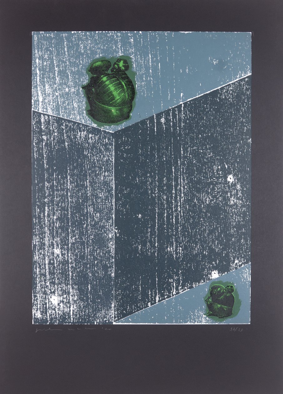 Habitación invisible nº8, El sueño de mi alma, 2019 (xilografía y serigrafía) de Guilherme Pontes