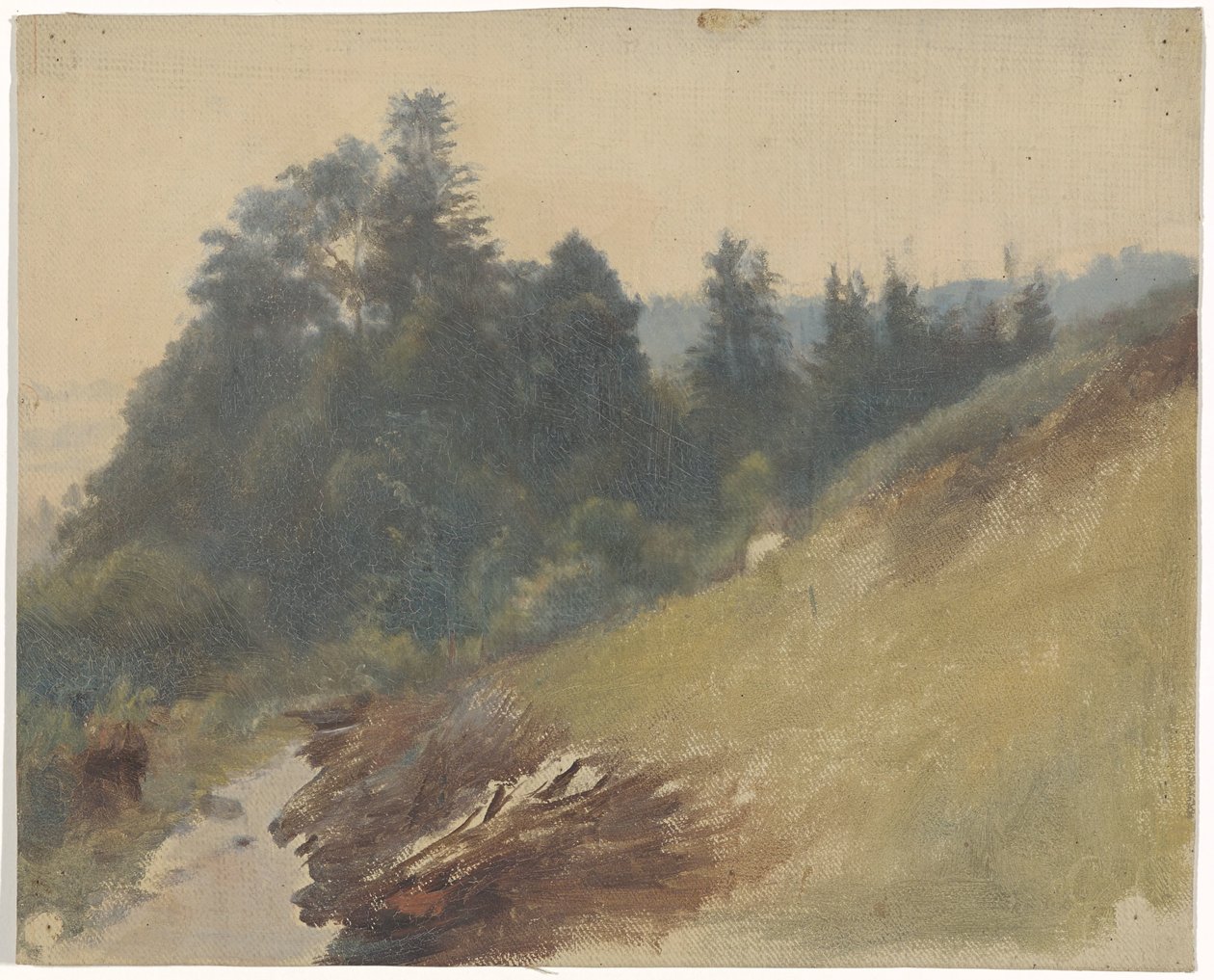 Ladera de la montaña con pinos de Guillaume Anne van der Brugghen