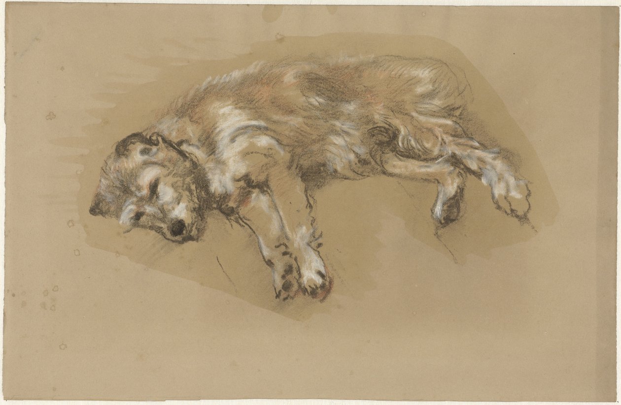 Perro reclinado de Guillaume Anne van der Brugghen