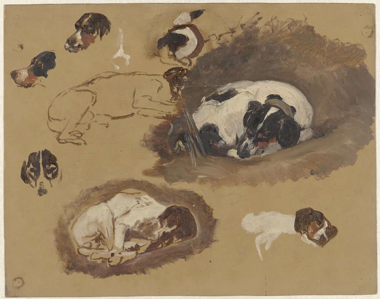 Estudios de un perro de caza de Guillaume Anne van der Brugghen