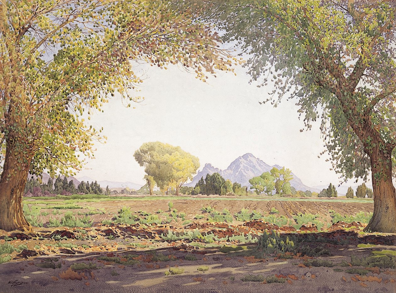 El valle del río Salado de Gunnar Widforss