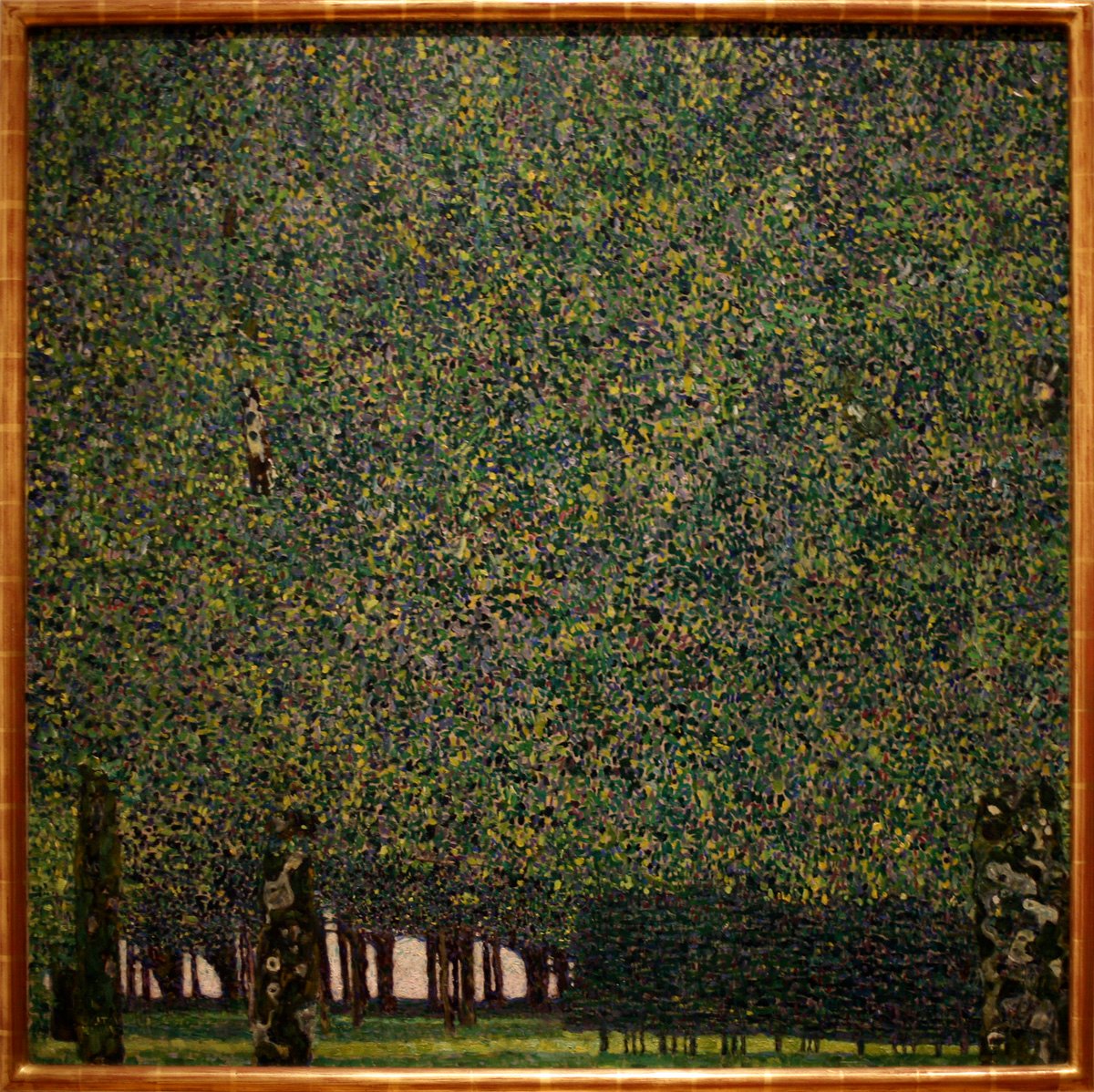 El Parque de Gustav Klimt