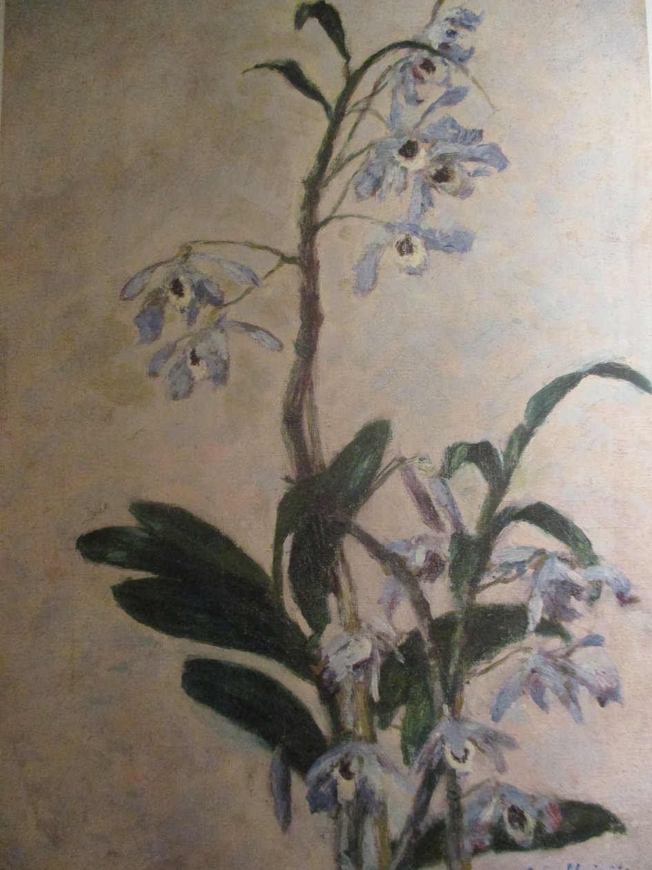 Las Orquídeas de Gustave Caillebotte