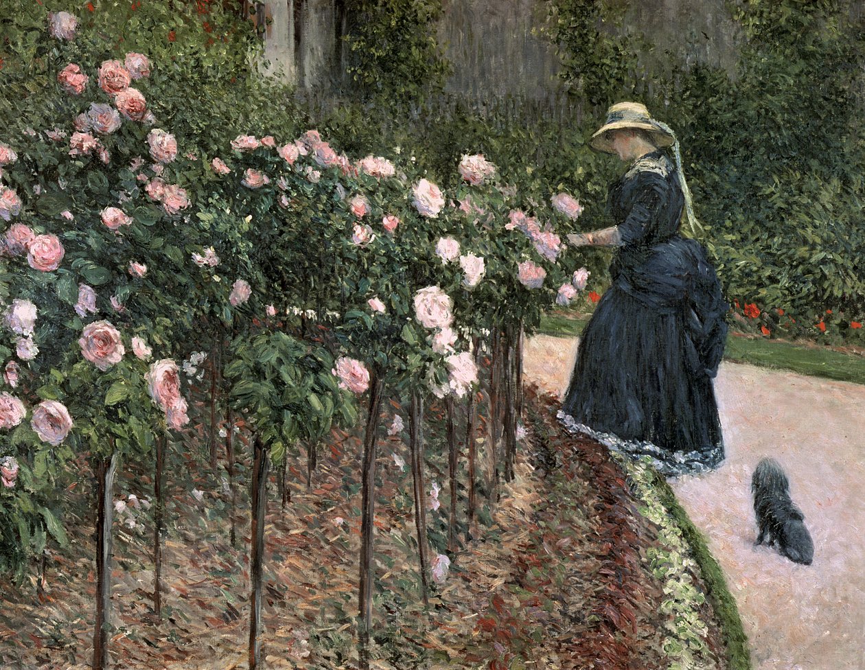 Rosas en el jardín de Petit Gennevilliers, 1886 de Gustave Caillebotte