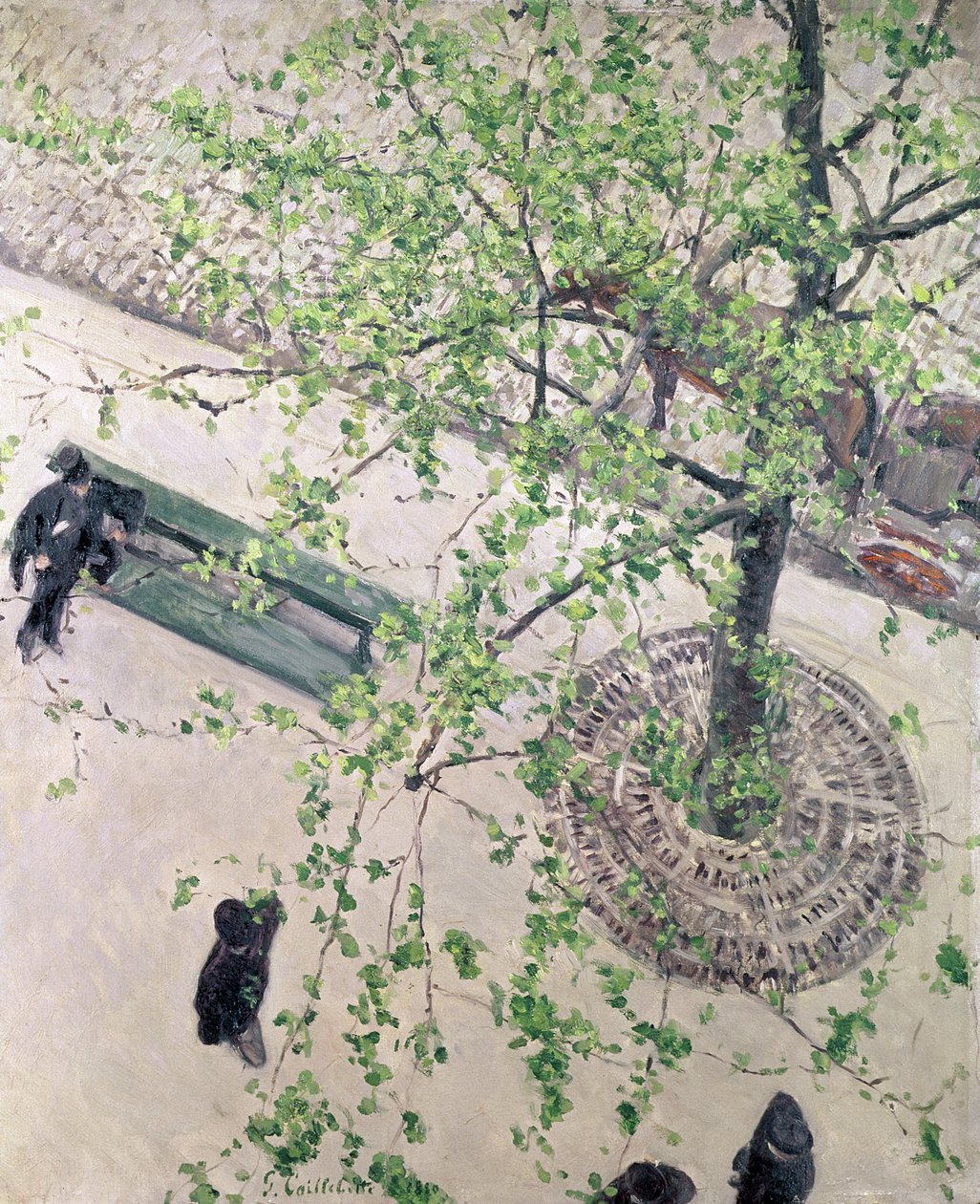 El Bulevar Visto desde Arriba, 1880 de Gustave Caillebotte