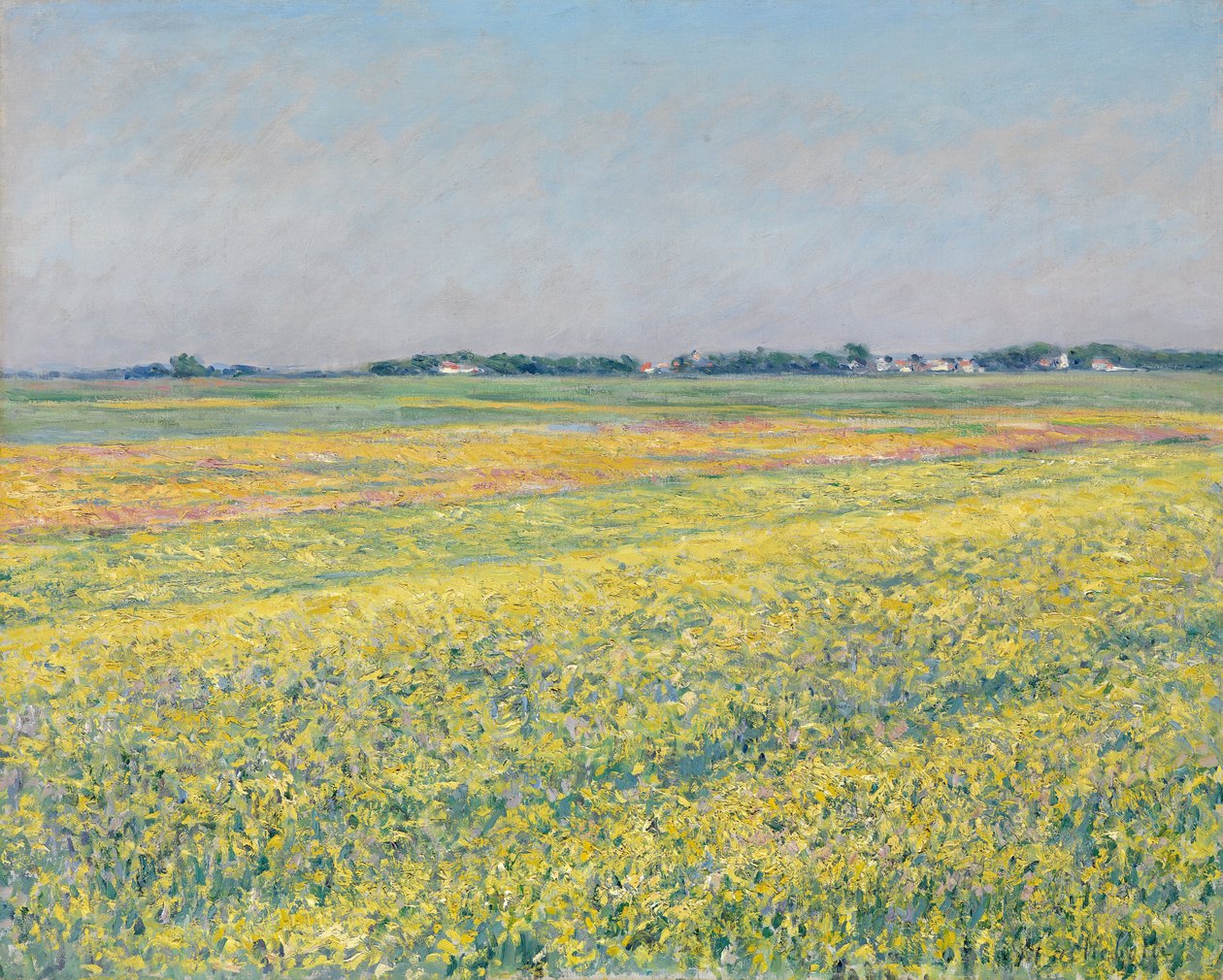 La llanura de Gennevilliers, campos amarillos de Gustave Caillebotte