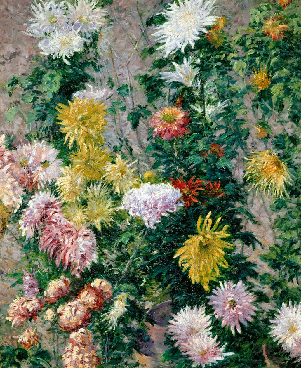 Crisantemos blancos y amarillos, 1893 de Gustave Caillebotte
