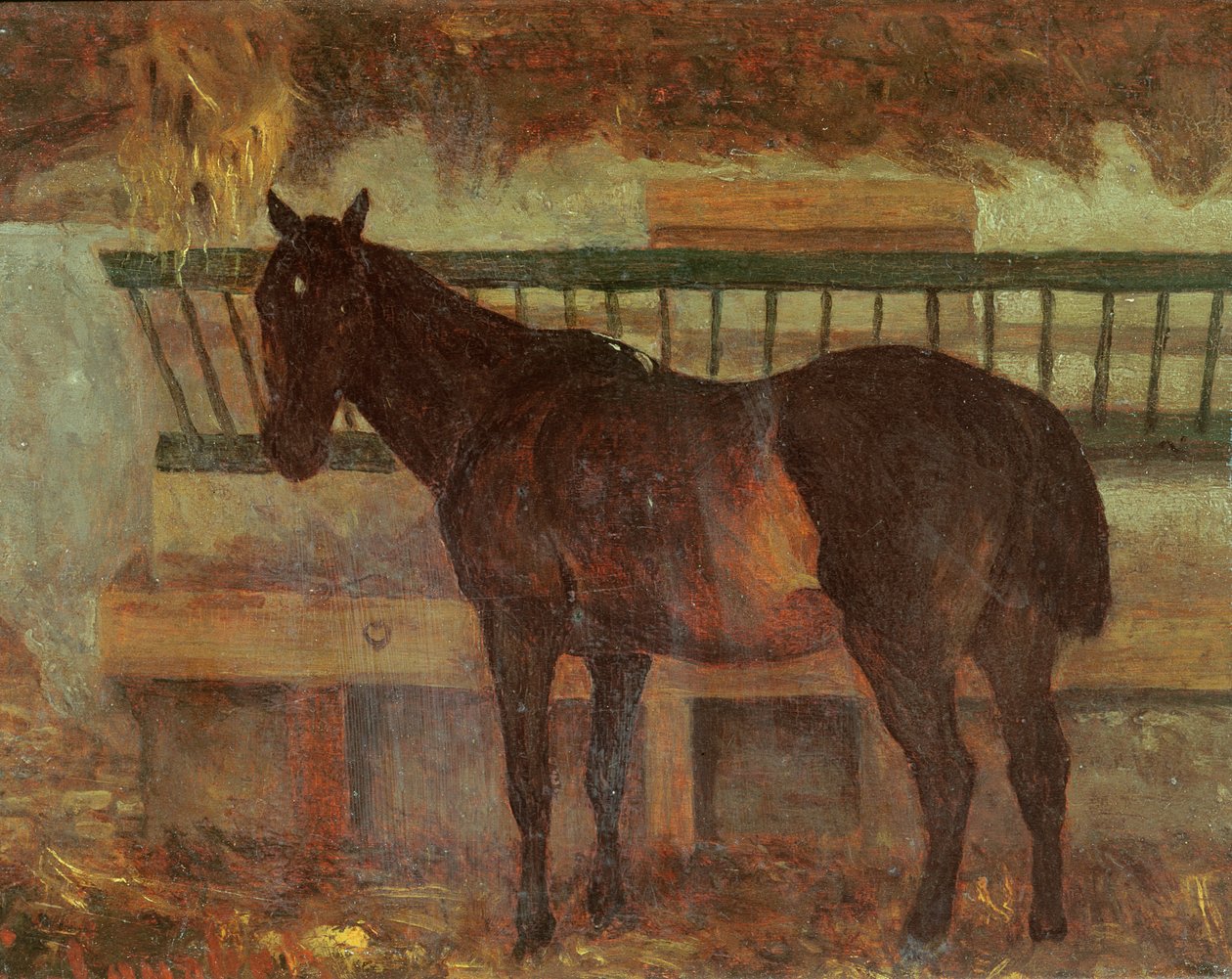 Un semental de la ciudad de Saintes, 1863 de Gustave Courbet