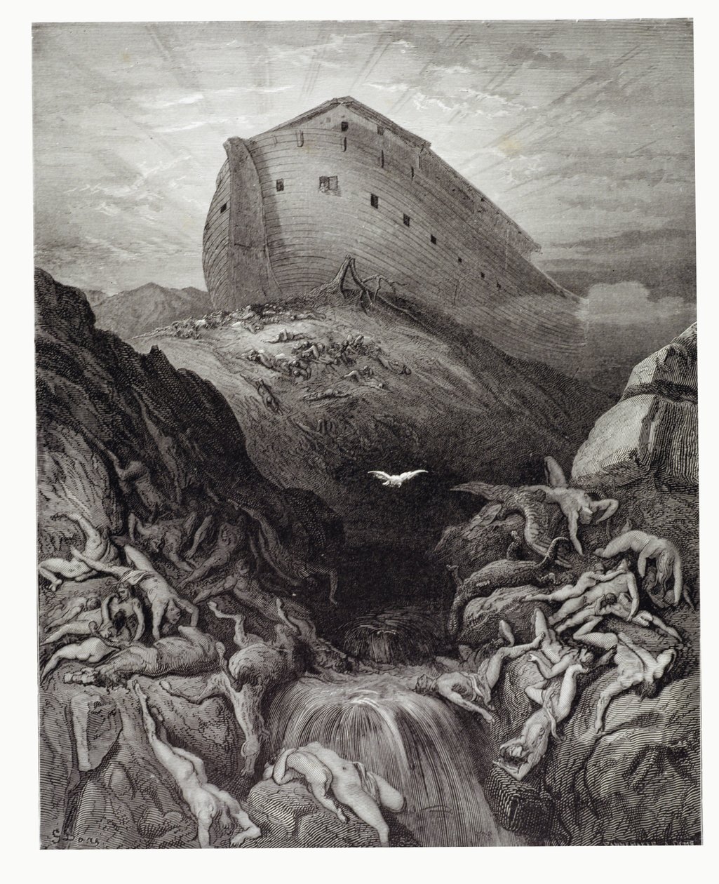 La paloma enviada desde el arca, grabado por Stephane Pannemaker c.1868 de Gustave Dore
