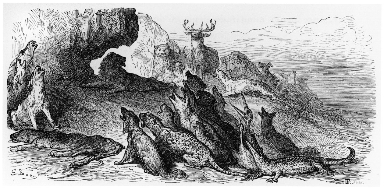 El funeral de la leona, ilustración de 
