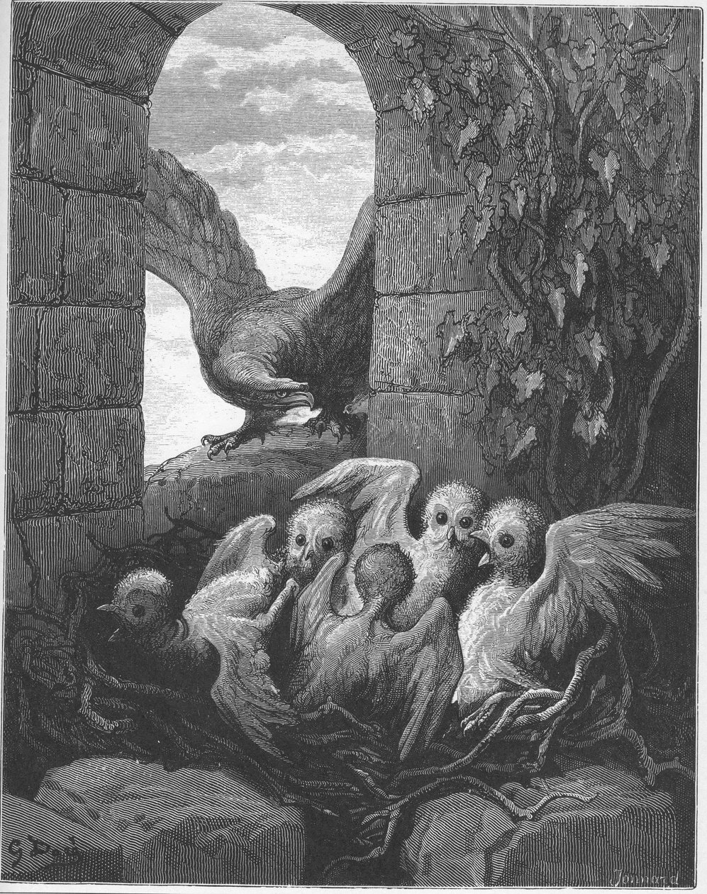 El águila y el búho - de 