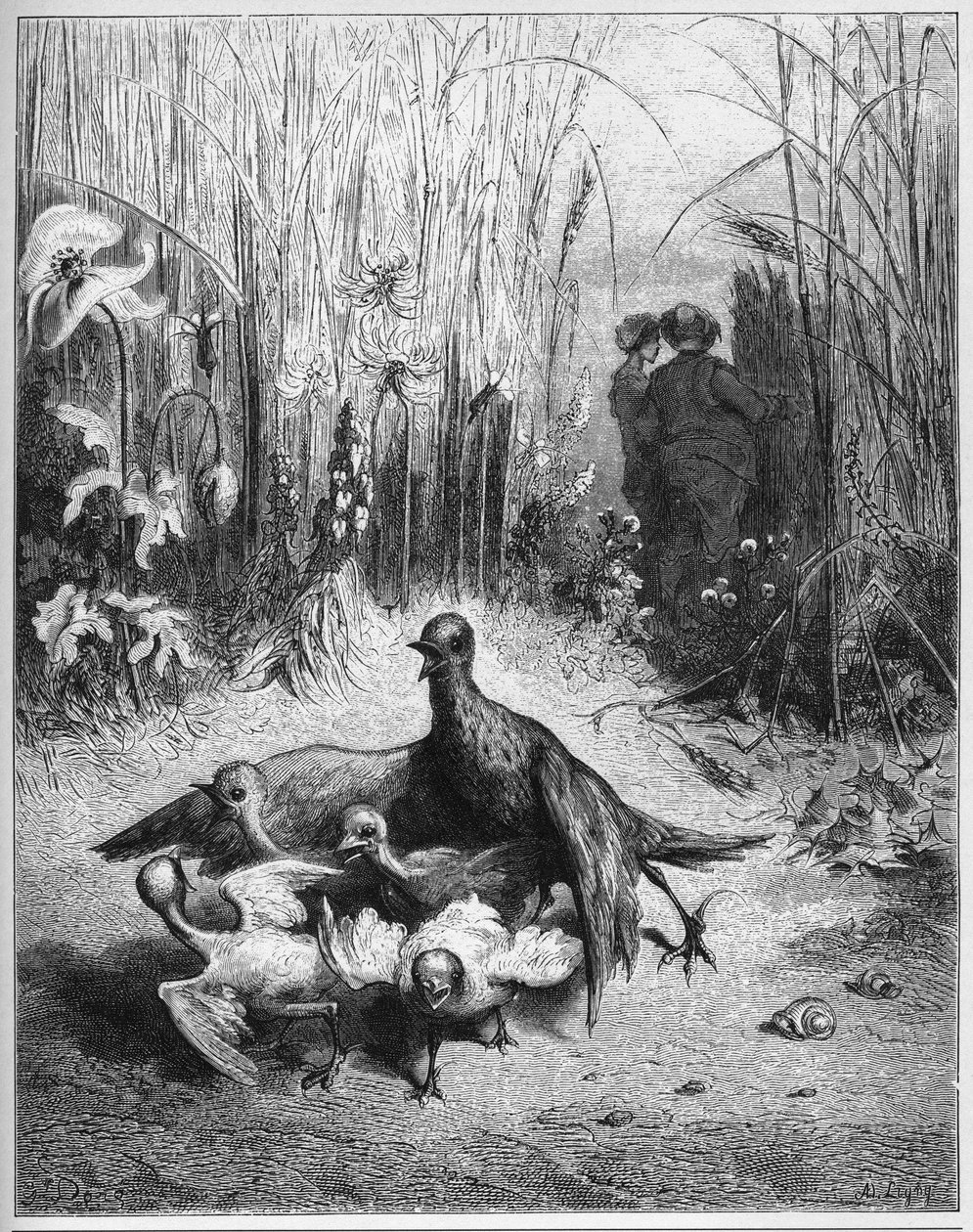 La alondra y sus crías con el dueño de un campo - de 