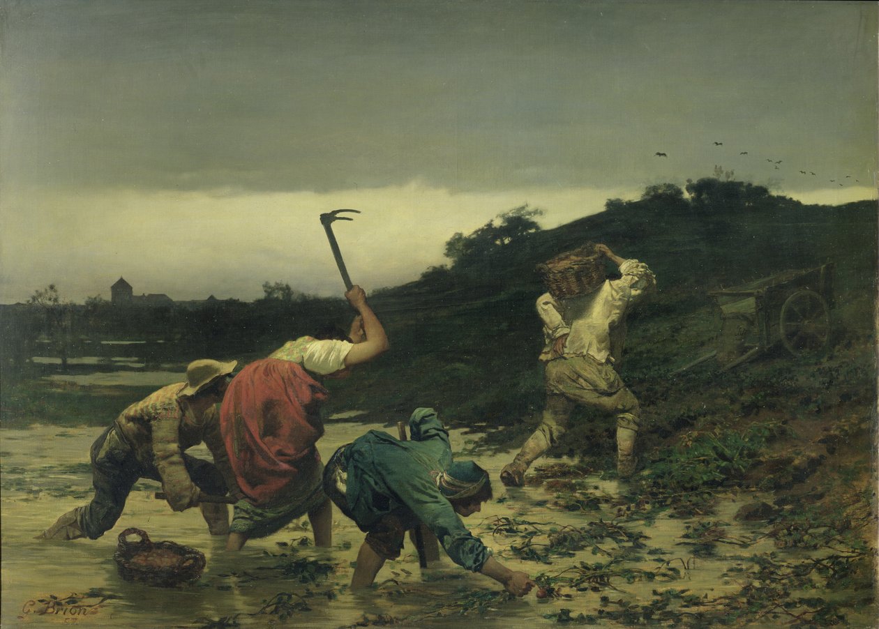 Campesinos cosechando papas durante la inundación del Rin en 1852 de Gustave Brion