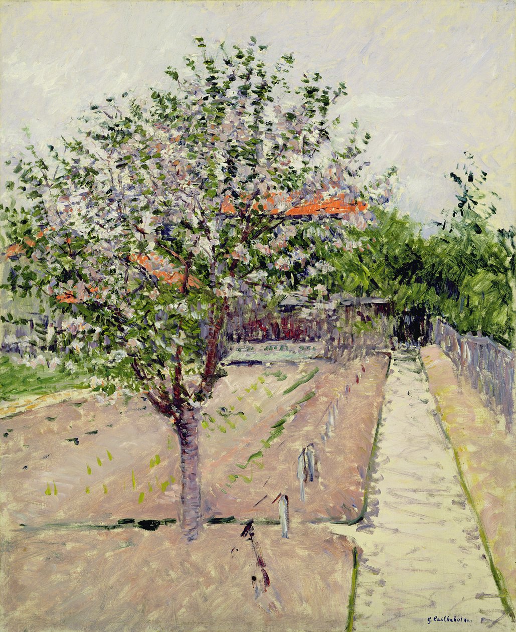 Manzano en flor, c.1885 de Gustave Caillebotte