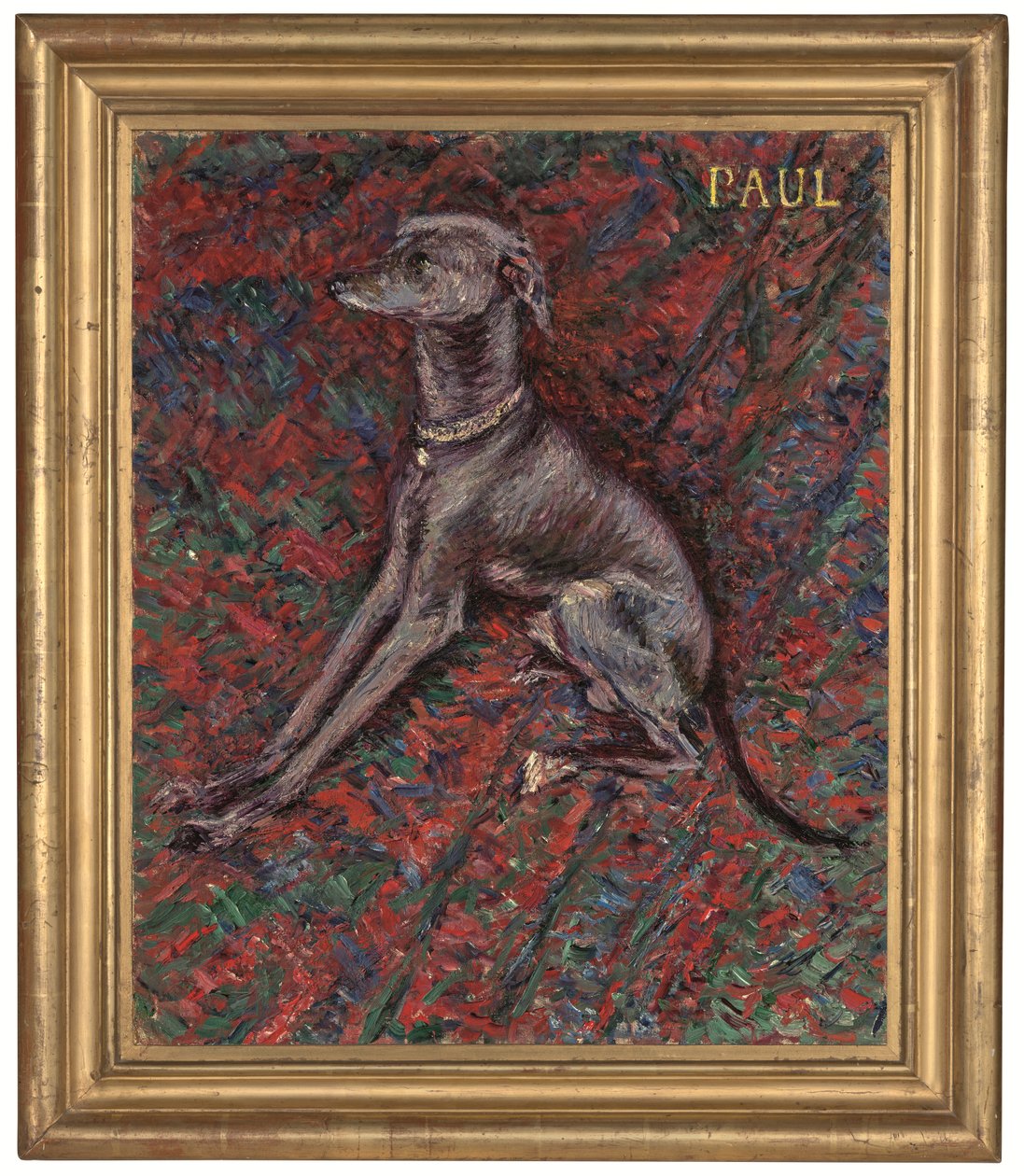 El perro 