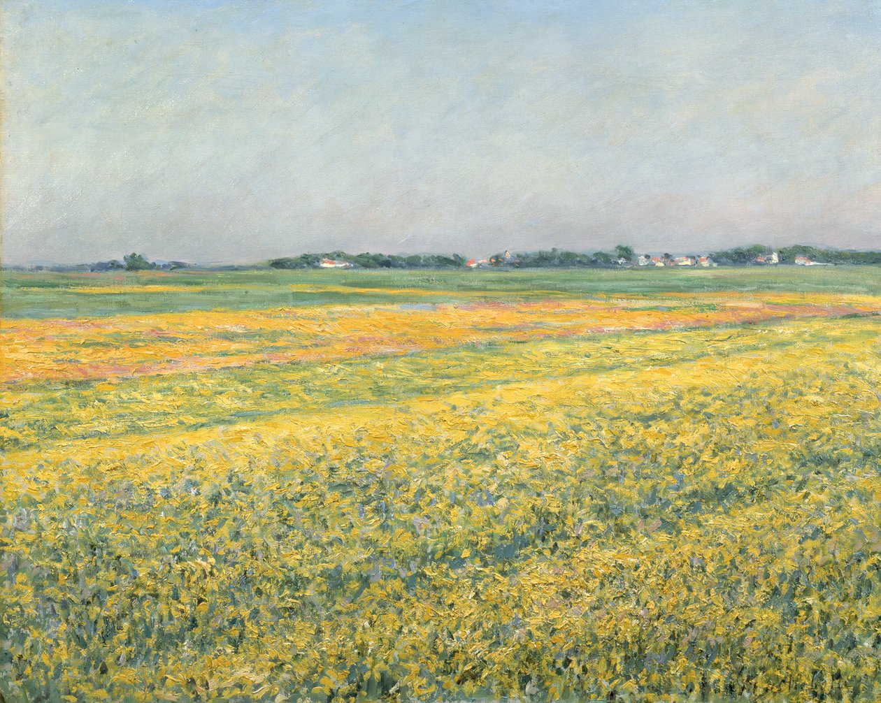 La llanura de Gennevilliers, campos amarillos, 1884 de Gustave Caillebotte