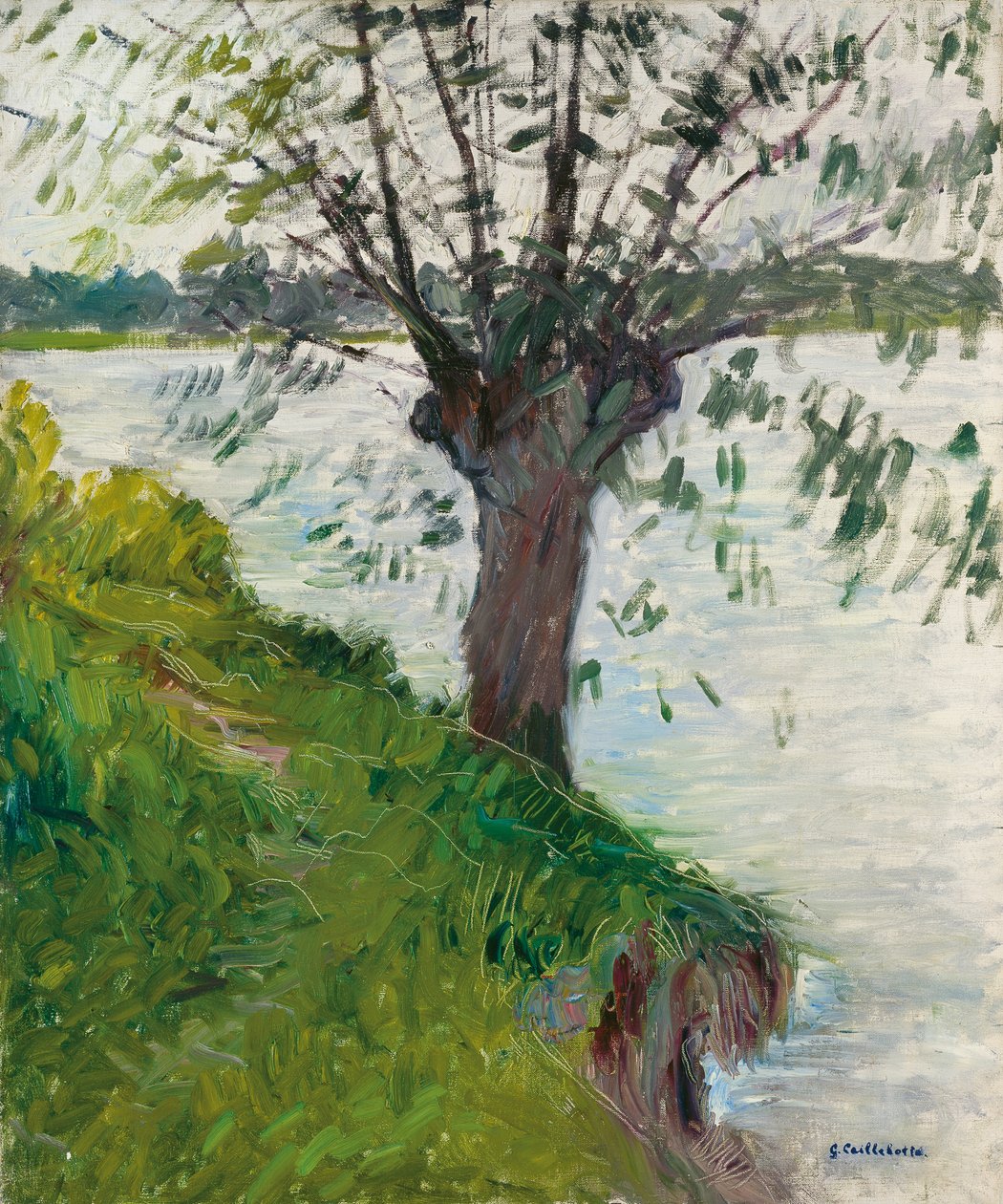 Sauce junto al río; Saule au bord de la rivière, c. 1891 de Gustave Caillebotte