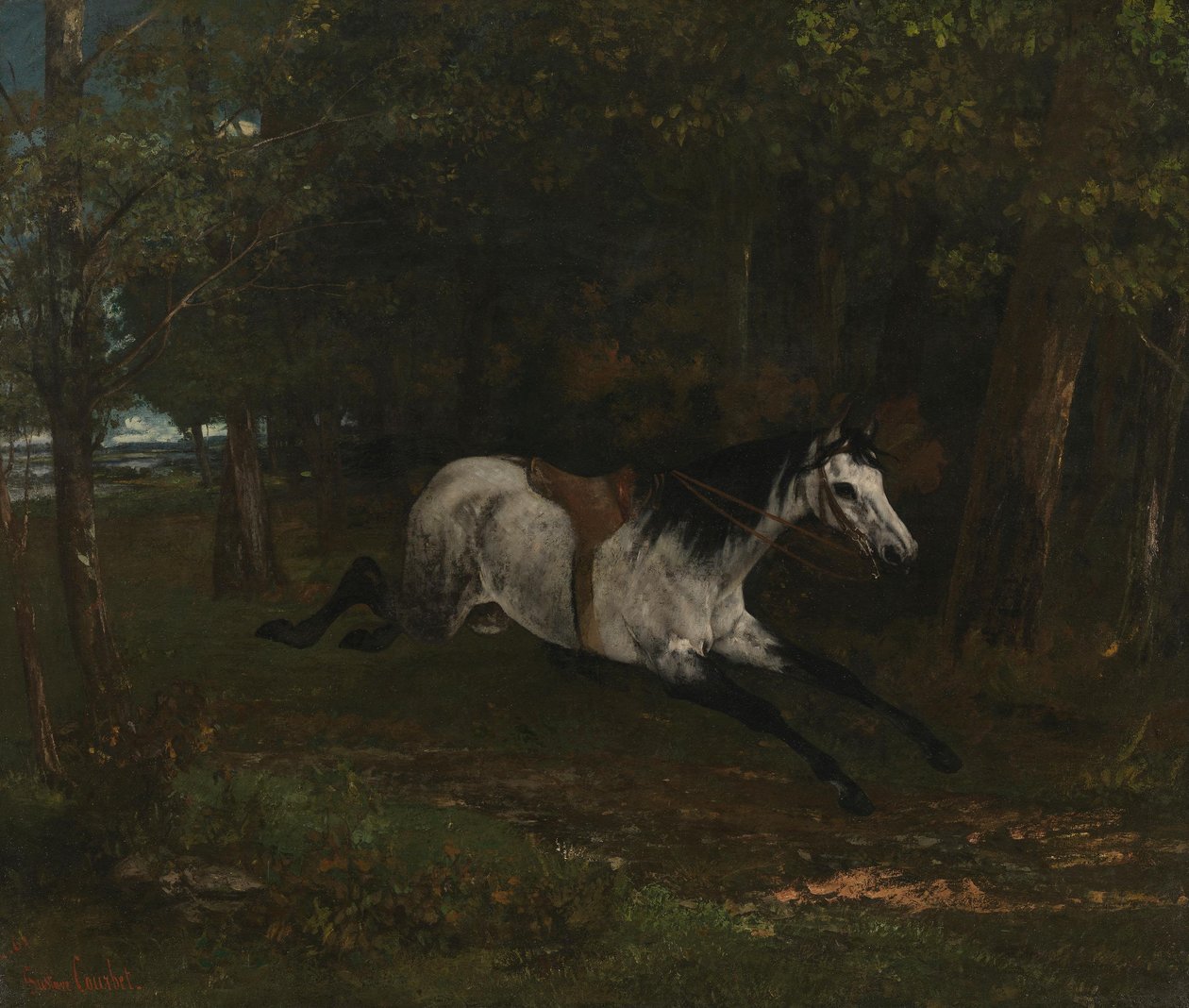 Caballo que no se detiene de Gustave Courbet