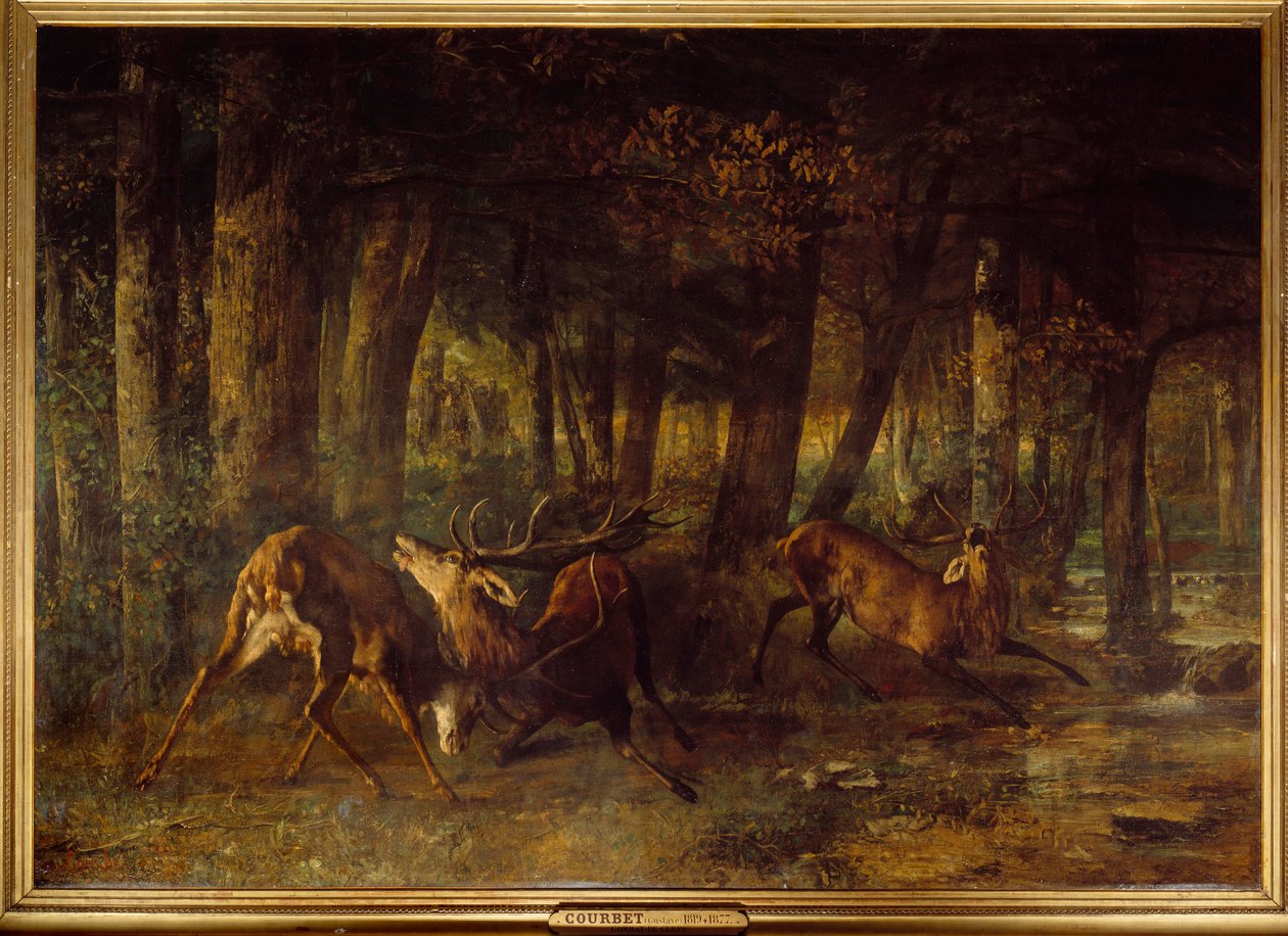 Celo de primavera, pelea de ciervos de Gustave Courbet