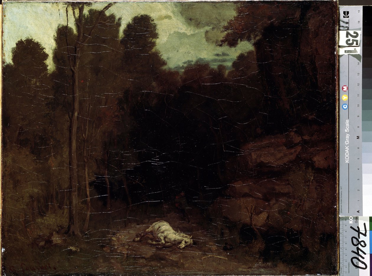 Imagen desconocida de Gustave Courbet