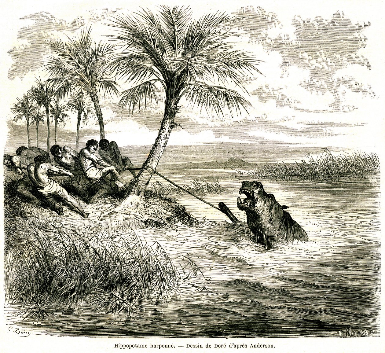 Caza en el río Teoghe, afluente del Ngami. Arpón de hipopótamo. Grabado de Gustave Dore que ilustra "les aventures et chasse du voyageur Charles-Jean Anderson dans l