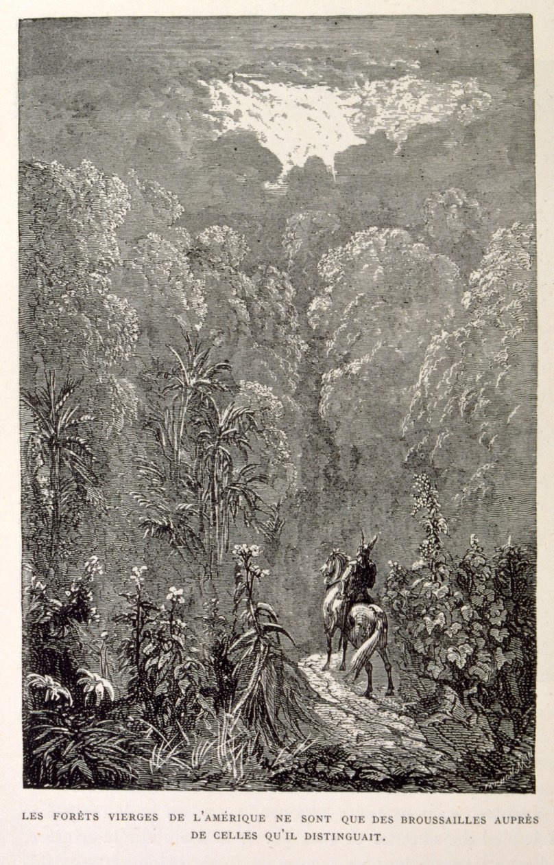 Ilustración de bosque americano. de La legende de Croque-Mitaine. de Gustave Dore