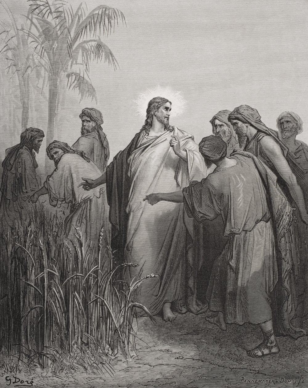Jesús y sus discípulos en el campo de maíz, ilustración de 