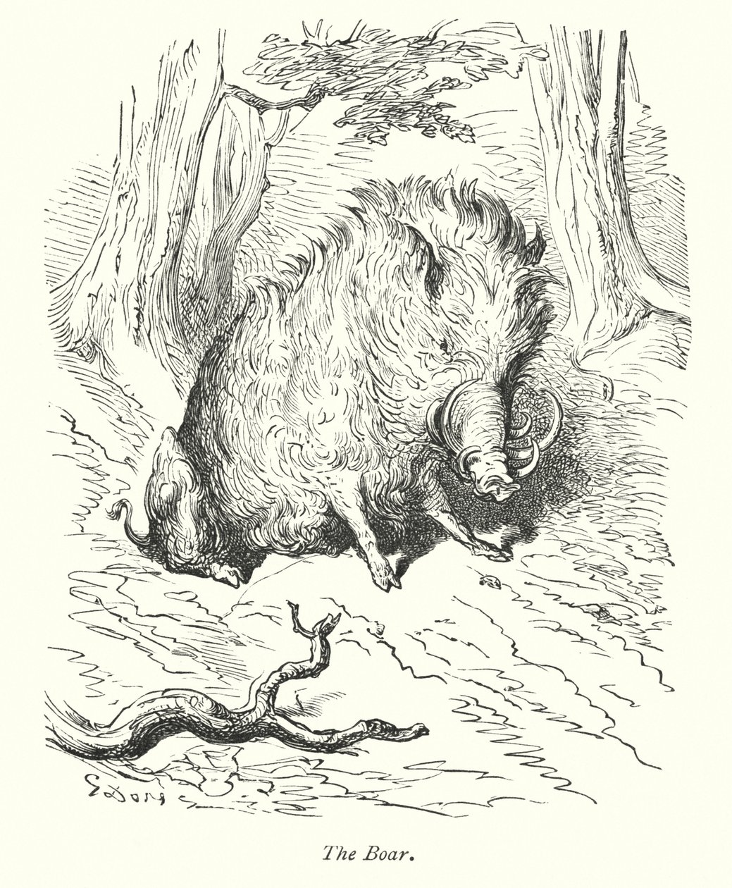 El Jabalí (grabado) de Gustave Dore