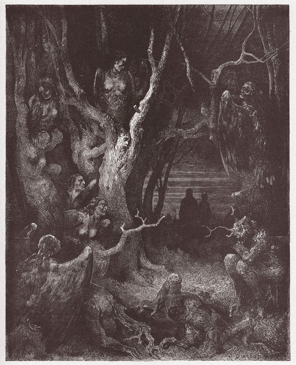La Divina Comedia (La Divina Commedia, La Divine Comedie), Infierno, Canto 13: Las arpías en el bosque de los suicidas - por Dante Alighieri (1265-1321) - Ilustración de Gustave Doré (1832-1883) de Gustave Dore