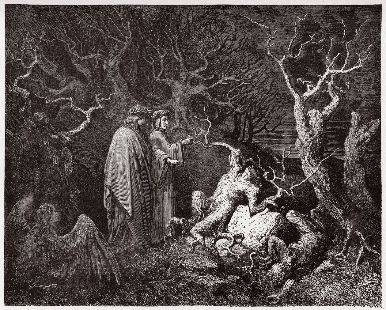 La Divina Comedia, Infierno, Canto 13: Los suicidas en el bosque - Ilustración de Gustave Doré de Gustave Dore