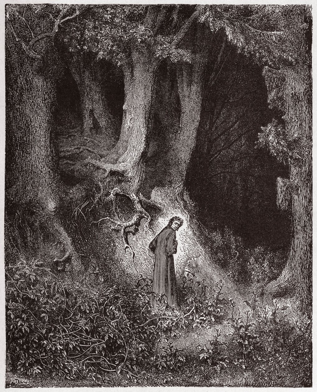 La Divina Comedia, Infierno, Canto 1: Dante en el bosque salvaje - Ilustración de Gustave Doré de Gustave Dore