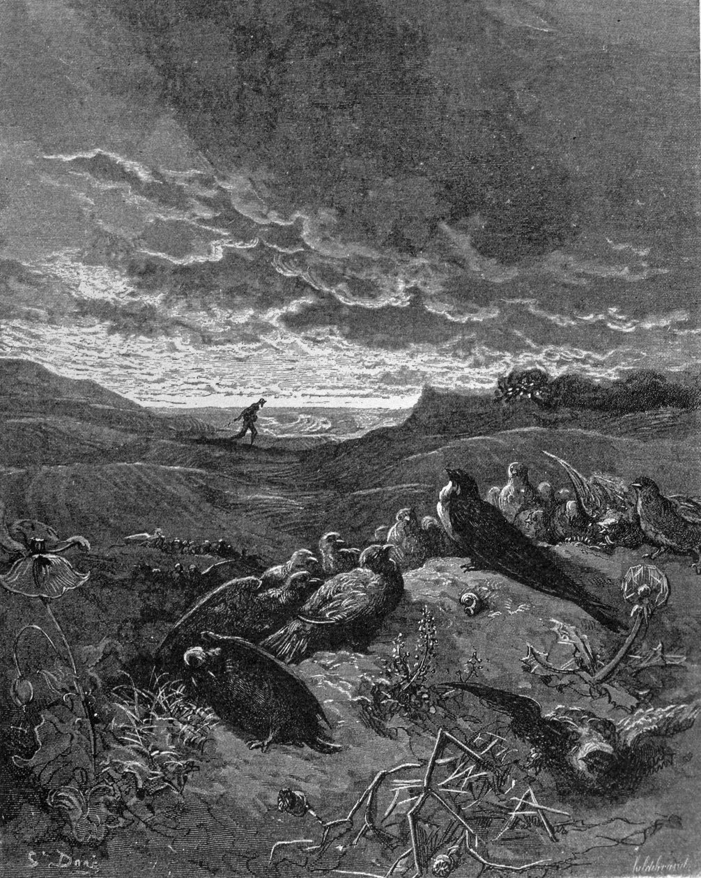 La Golondrina y los Pájaros, ilustración de 