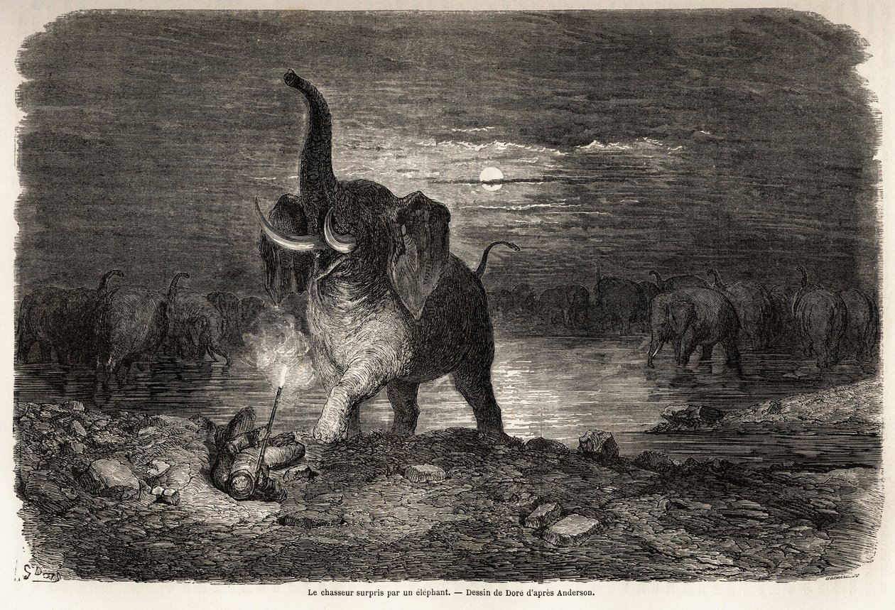 El cazador sorprendido por un elefante, cerca del lago Ngami (Botsuana), dibujo de Gustave Doré (1832-1883), para ilustrar las aventuras y cacerías de Charles Jean Anderson en el sur de África. Grabado en “Le tour du monde, nouveau journal des voyages” Par de Gustave Dore