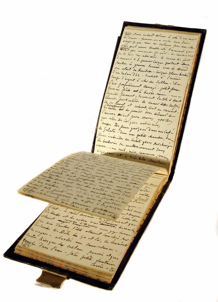 Libro de viajes de Gustave Flaubert (1821-1880), escritor francés, biblioteca histórica de la de Gustave Flaubert