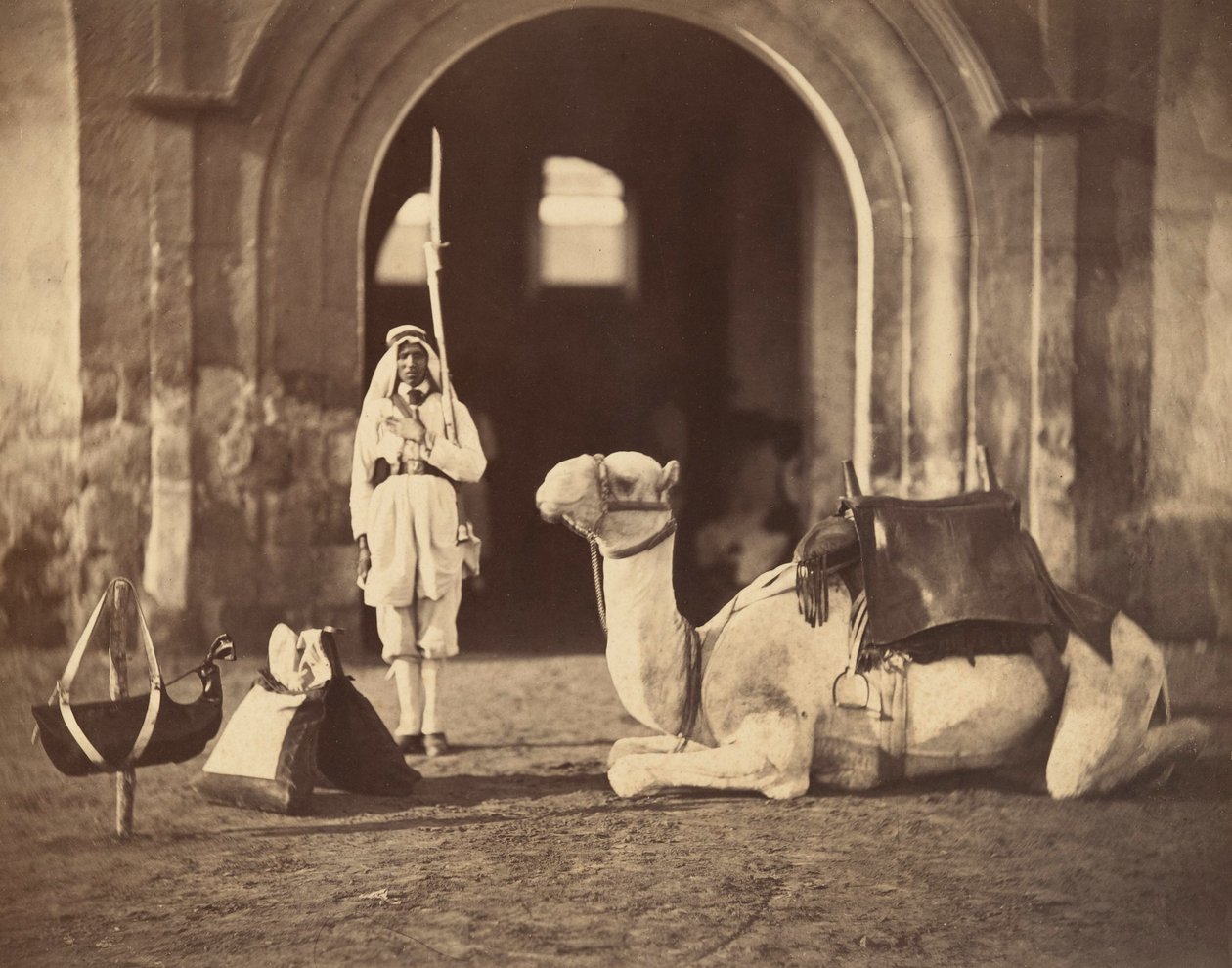 Camello acostado, c.1866 de Gustave Le Gray