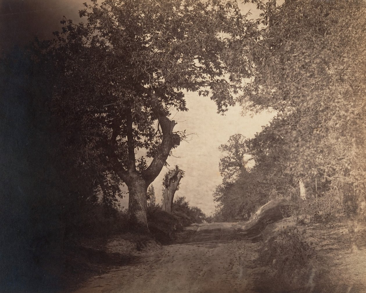 Fontainebleau, camino arenoso ascendente, ca. 1856 de Gustave Le Gray