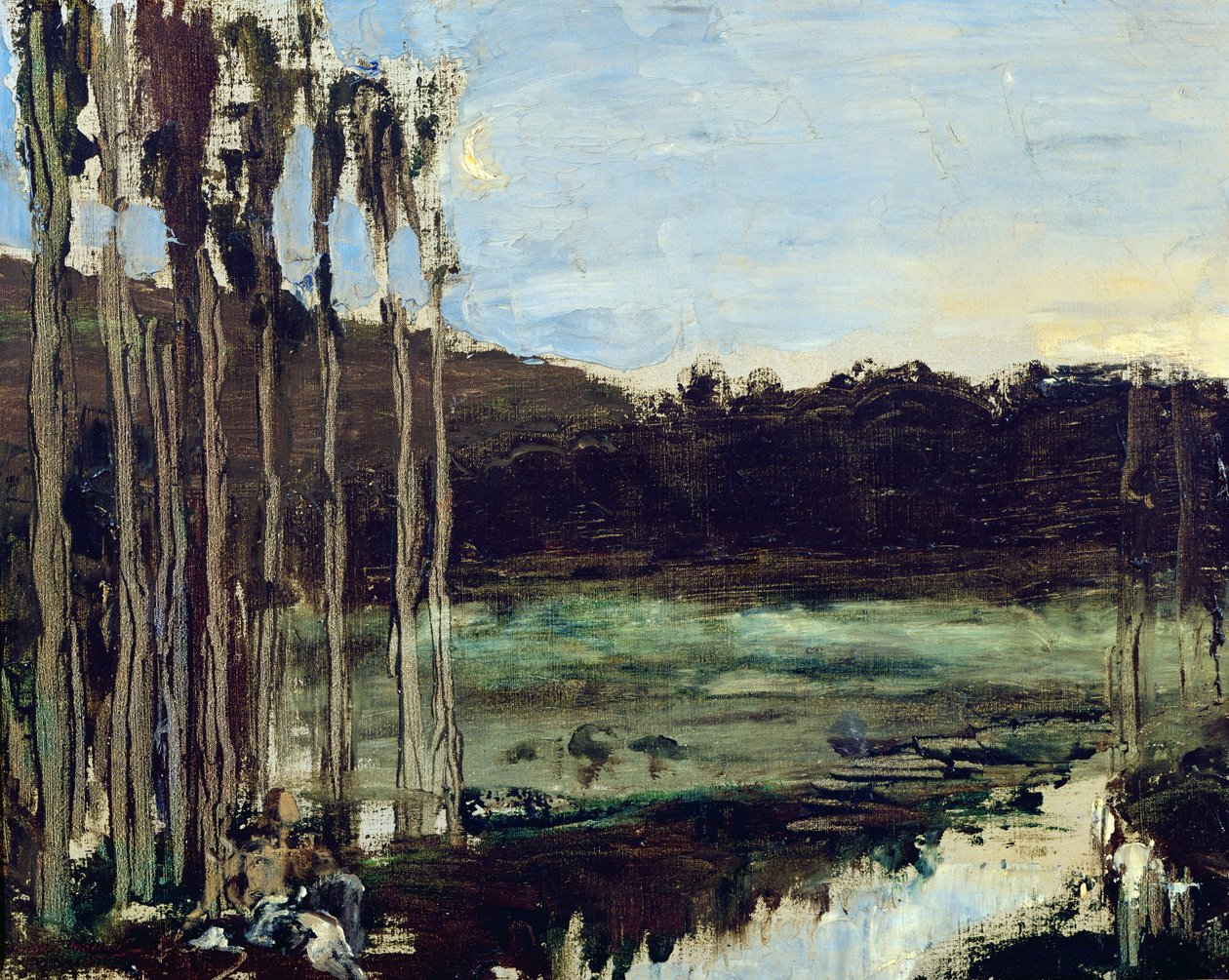 Francés: Paysage / Les environs d