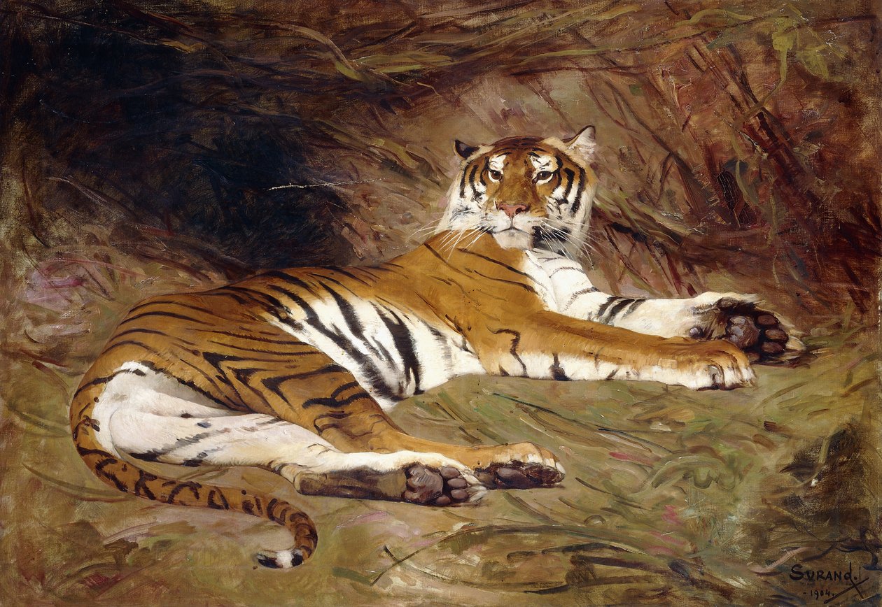 Un tigre reclinado de Gustave Surand