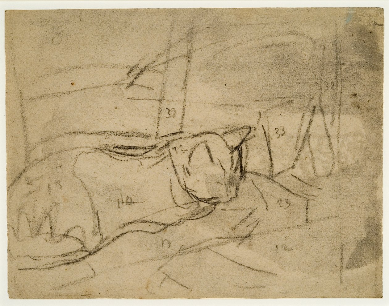 Estudios sobre gatos (carboncillo sobre papel) de Gwen John