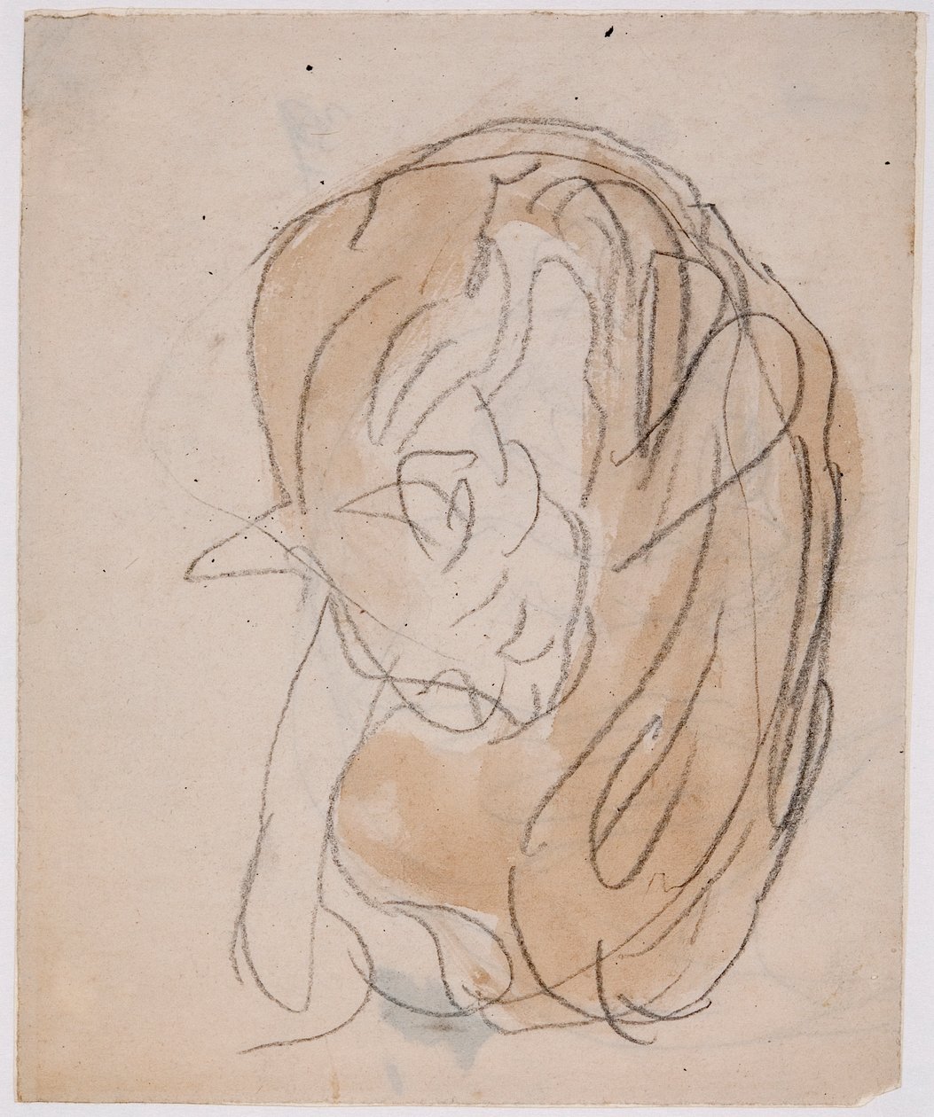 Estudios sobre gatos (acuarela con lápiz sobre papel) de Gwen John