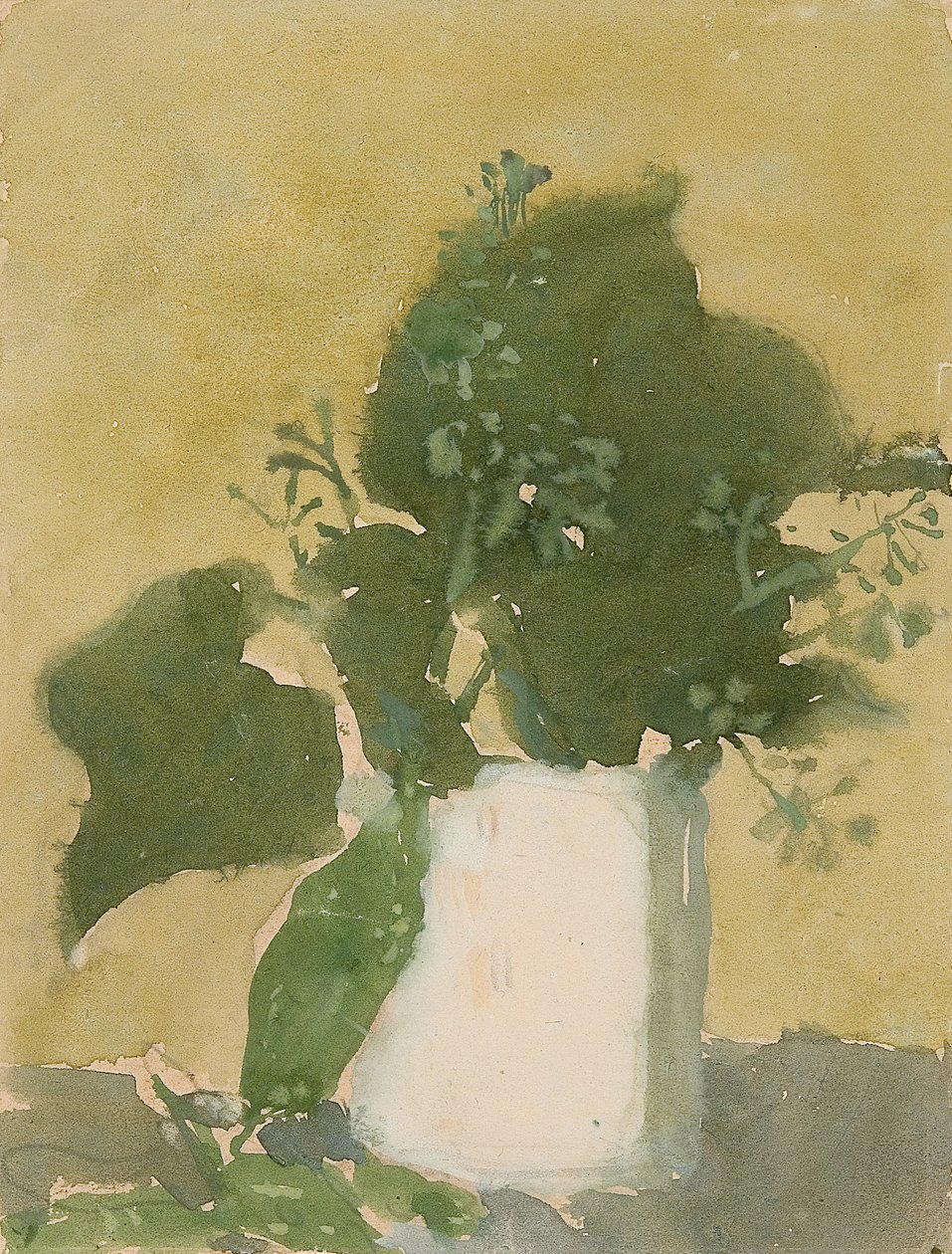 Hojas verdes en una jarra blanca (acuarela, gouache y lápiz sobre papel) de Gwen John