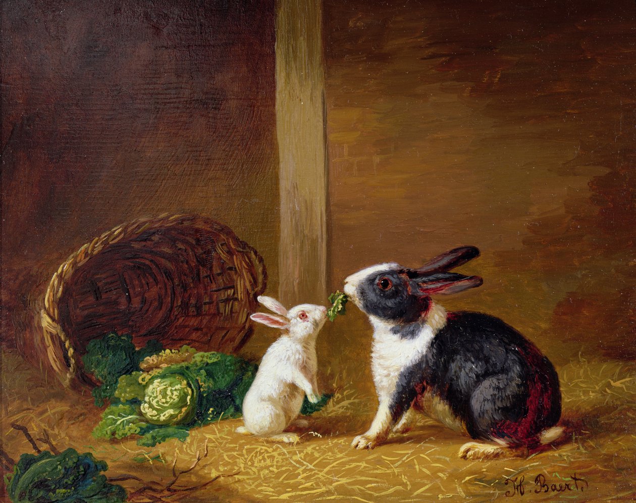 Dos conejos de H. Baert