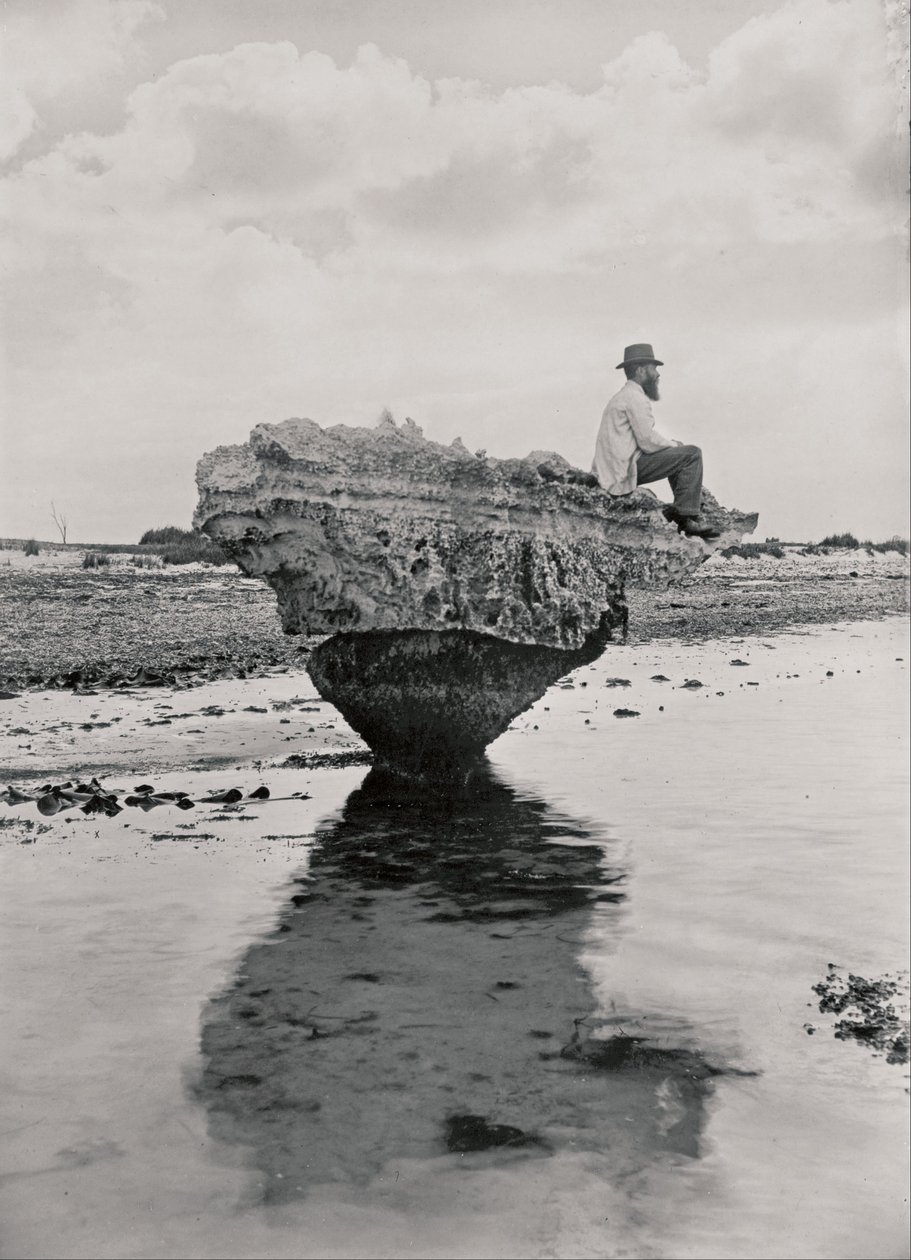 Roca del Corsé de H. H. Tilbrook